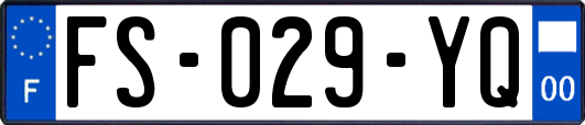 FS-029-YQ