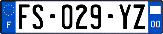 FS-029-YZ