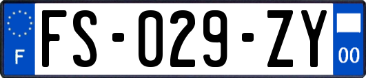 FS-029-ZY