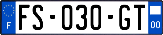 FS-030-GT