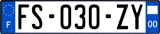 FS-030-ZY