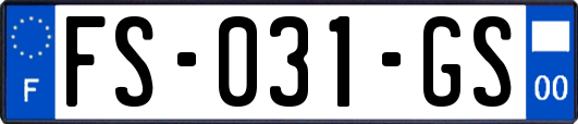 FS-031-GS
