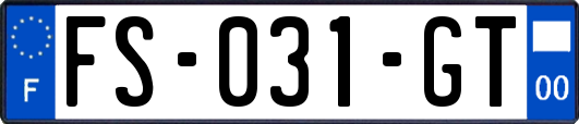 FS-031-GT