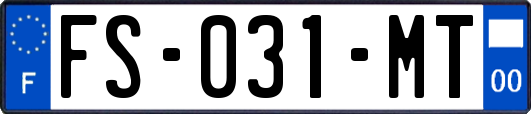 FS-031-MT