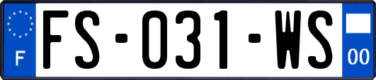FS-031-WS