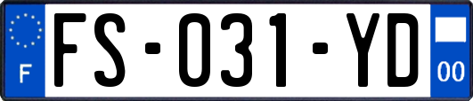 FS-031-YD