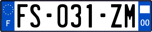 FS-031-ZM