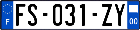 FS-031-ZY