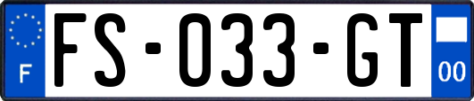 FS-033-GT