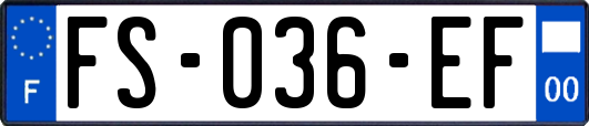 FS-036-EF