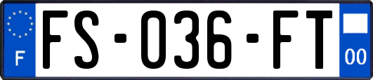 FS-036-FT