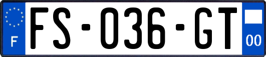 FS-036-GT