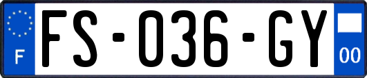 FS-036-GY