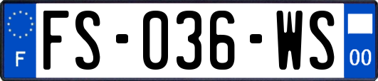 FS-036-WS