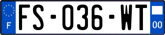 FS-036-WT