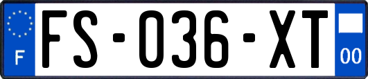 FS-036-XT