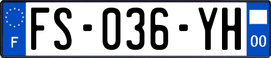 FS-036-YH