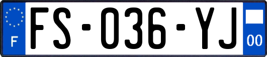 FS-036-YJ