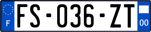 FS-036-ZT