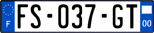 FS-037-GT