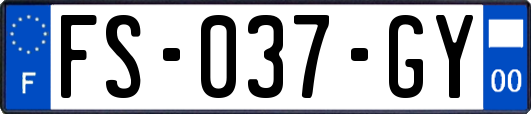 FS-037-GY