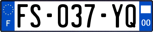 FS-037-YQ