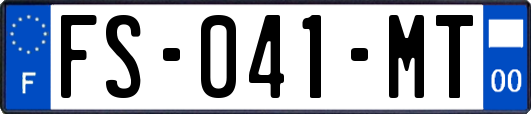 FS-041-MT