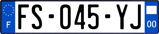 FS-045-YJ
