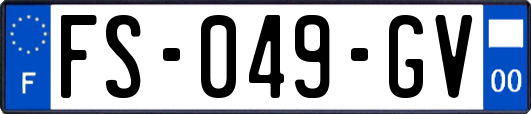 FS-049-GV