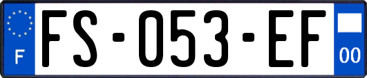 FS-053-EF