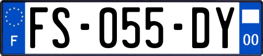 FS-055-DY