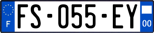 FS-055-EY