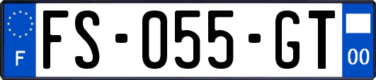 FS-055-GT
