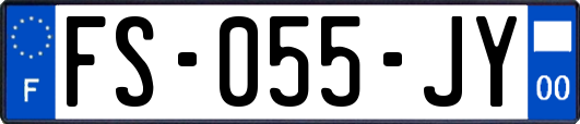 FS-055-JY