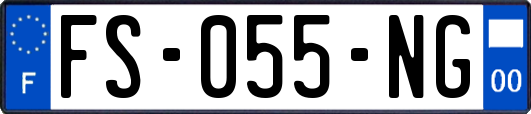 FS-055-NG