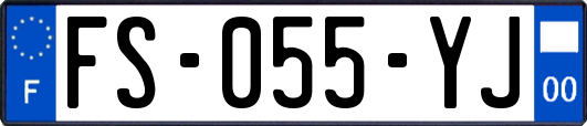 FS-055-YJ