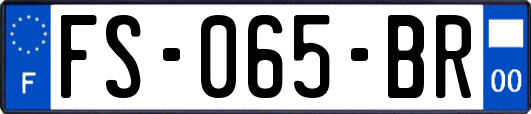 FS-065-BR