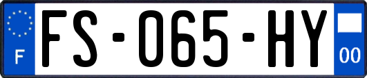 FS-065-HY