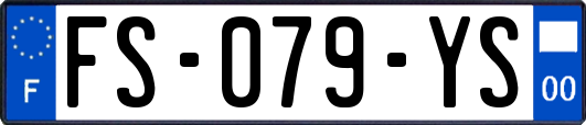 FS-079-YS