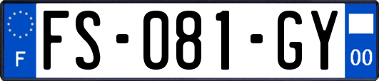 FS-081-GY