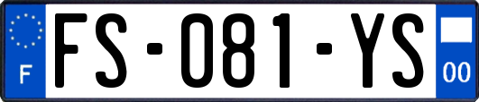FS-081-YS
