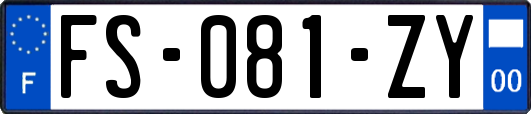 FS-081-ZY