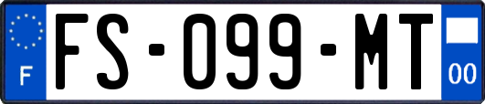 FS-099-MT