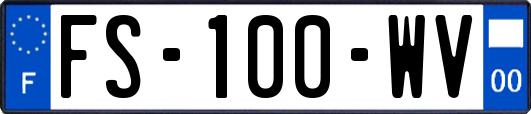 FS-100-WV