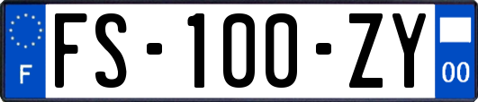 FS-100-ZY