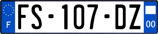 FS-107-DZ