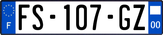 FS-107-GZ