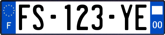 FS-123-YE