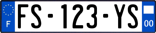 FS-123-YS