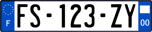 FS-123-ZY